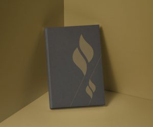 Notebook branding